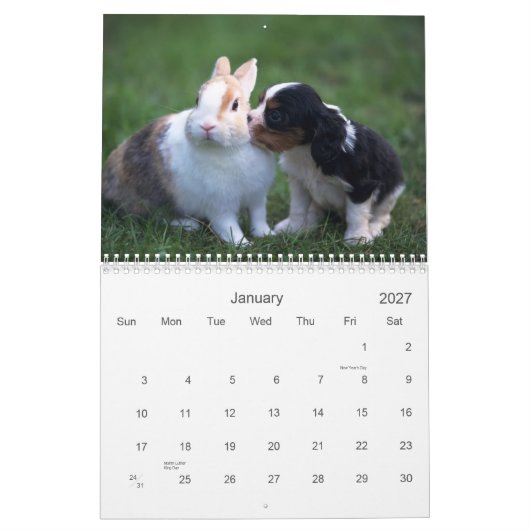 Baby Animal Agenda Kalender (Jan 2027)