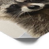Baby Animals Neursery Poster - Racoon (Hoek)