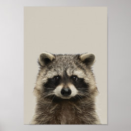 Baby Animals Neursery Poster - Racoon