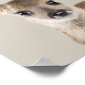 Baby Animals Nursery Poster - Deer (Hoek)