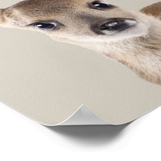 Baby Animals Nursery Poster - Deer (Hoek)