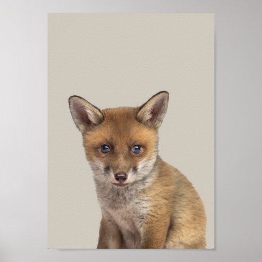 Baby Animals Nursery Poster - Fox (Voorkant)