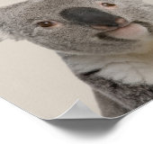 Baby Animals Nursery Poster - Koala (Hoek)