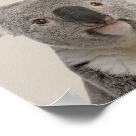 Baby Animals Nursery Poster - Koala (Hoek)