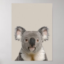 Baby Animals Nursery Poster - Koala