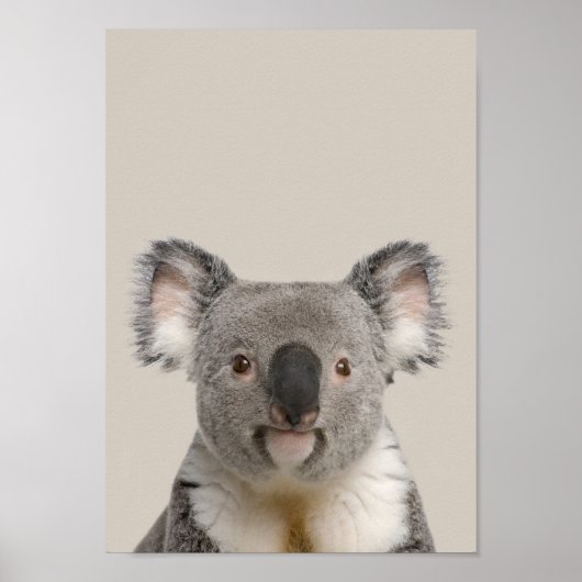 Baby Animals Nursery Poster - Koala (Voorkant)