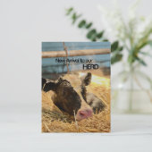 Baby Announcement Postcard Briefkaart (Staand voorkant)