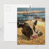 Baby Announcement Postcard Briefkaart (Voorkant / Achterkant)