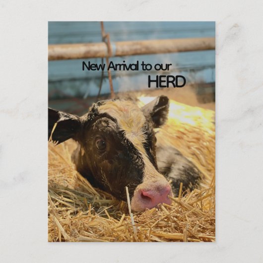 Baby Announcement Postcard Briefkaart (Voorkant)