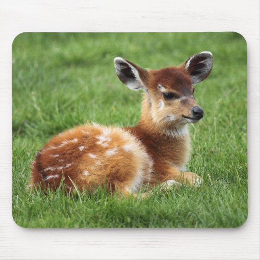 Baby Antelope Muismat (Voorkant)