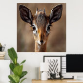 Baby Antelope Poster (Thuiskantoor)
