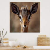 Baby Antelope Poster (Keuken)