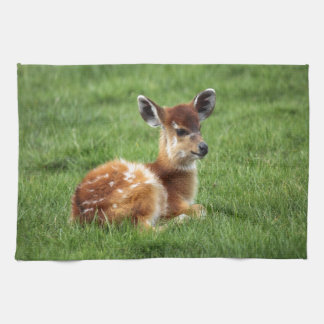 Baby Antelope Theedoek