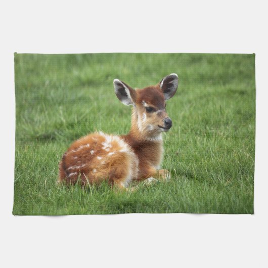Baby Antelope Theedoek (Horizontaal)