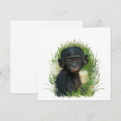 Baby Ape In The Grass (Voorkant / Achterkant)