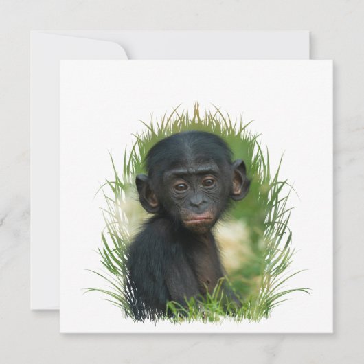 Baby Ape In The Grass (Voorkant)