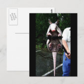 Baby Armadillo in een klap Briefkaart (Voorkant / Achterkant)