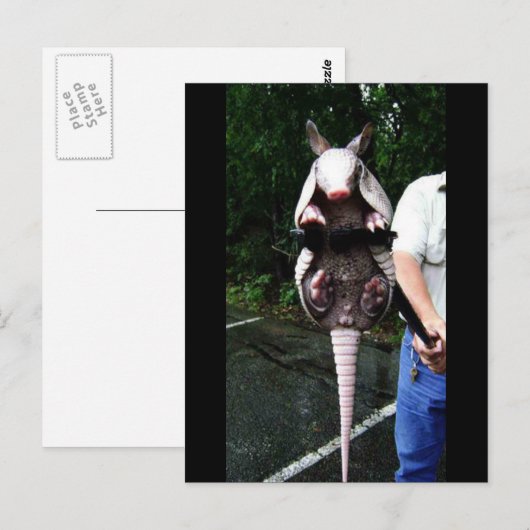 Baby Armadillo in een klap Briefkaart (Voorkant / Achterkant)