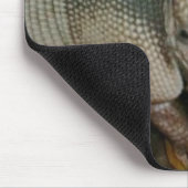 Baby Armadillo Muismat (Hoek)