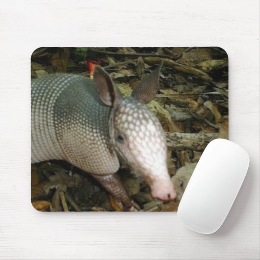 Baby Armadillo Muismat (Met muis)
