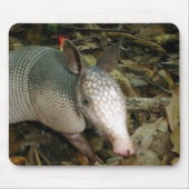 Baby Armadillo Muismat (Voorkant)