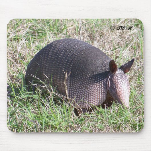 Baby Armadillo ©TDH Muismat (Voorkant)