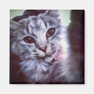 Baby Artemis Magneet