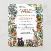 Baby Australian Animal Wild Een Verjaardagskangoer (Voorkant)