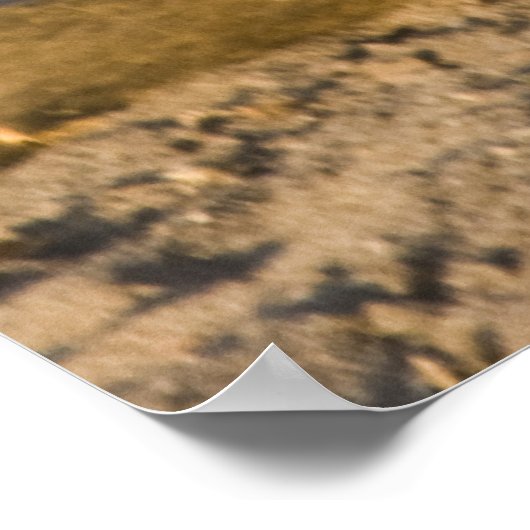 Baby Baboon Monkey Africa zit Poster (Hoek)