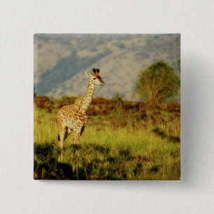 Baby badges voor wilde dieren en knopen vierkante button 5,1 cm