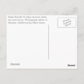 Baby Bandit! Briefkaart (Achterkant)