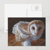 Baby Barn Owl Bird Briefkaart (Voorkant / Achterkant)