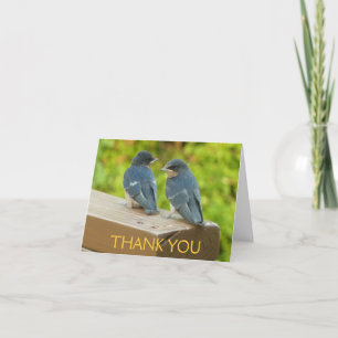 Baby Barn Swallows Bedankkaart