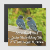 Baby Barn Swallows Natuur Fotografie (Voorkant / Achterkant)