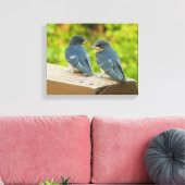 Baby Barn Swallows Natuur Fotografie Canvas Afdruk (Insitu (Woonkamer))