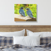 Baby Barn Swallows Natuur Fotografie Canvas Afdruk (Insitu (Slaapkamer))