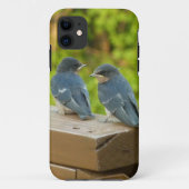 Baby Barn Swallows Natuur Fotografie Case-Mate iPhone Case (Achterkant)