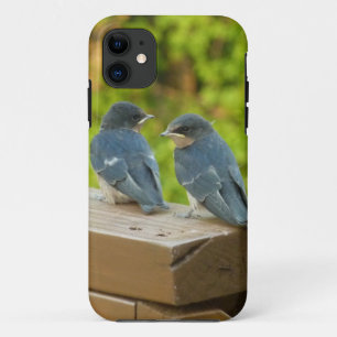 Baby Barn Swallows Natuur Fotografie Case-Mate iPhone Case