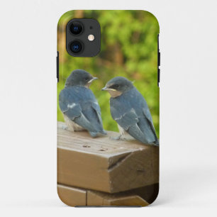 Baby Barn Swallows Natuur Fotografie Case-Mate iPhone Case