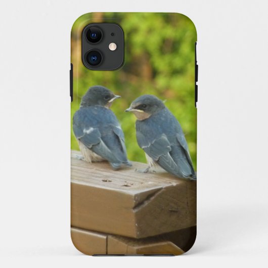 Baby Barn Swallows Natuur Fotografie Case-Mate iPhone Case (Achterkant)