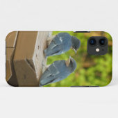 Baby Barn Swallows Natuur Fotografie Case-Mate iPhone Case (Achterkant (horizontaal))