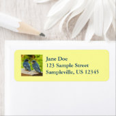 Baby Barn Swallows Natuur Fotografie Etiket (Insitu)