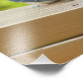 Baby Barn Swallows Natuur Fotografie Foto Afdruk (Hoek)