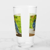 Baby Barn Swallows Natuur Fotografie Glas (Links)