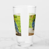 Baby Barn Swallows Natuur Fotografie Glas (Rechts)