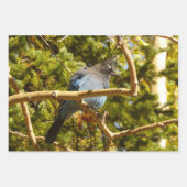 Baby Barn Swallows Natuur Fotografie Inpakpapier Vel (Voorkant 2)