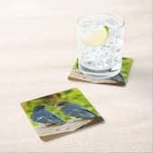 Baby Barn Swallows Natuur Fotografie Kartonnen Onderzetters (Insitu)