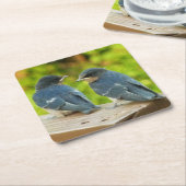 Baby Barn Swallows Natuur Fotografie Kartonnen Onderzetters (Schuin)