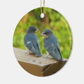 Baby Barn Swallows Natuur Fotografie Keramisch Ornament (Links)