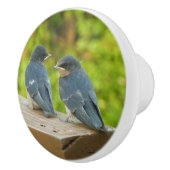 Baby Barn Swallows Natuur Fotografie Keramische Knop (Rechts)